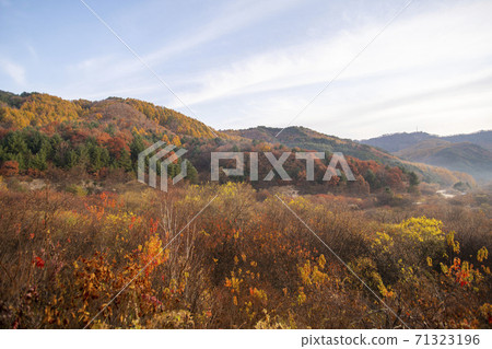 Secret Garden, Inje County, Gangwon Province Secret Garden, Inje County, Gangwon Province 71323196