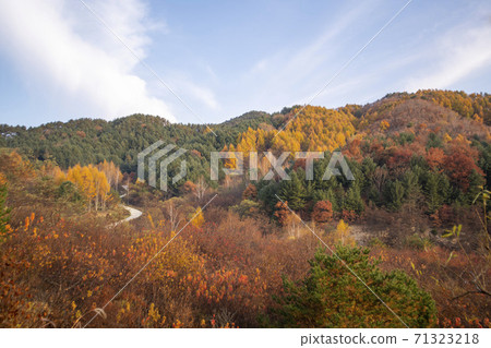 江原道仁濟縣秘密花園 71323218