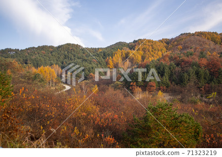 江原道仁濟縣秘密花園 71323219
