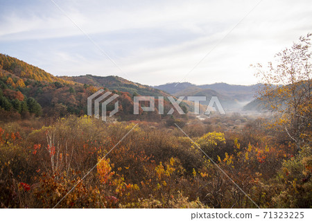 Secret Garden, Inje County, Gangwon Province Secret Garden, Inje County, Gangwon Province 71323225