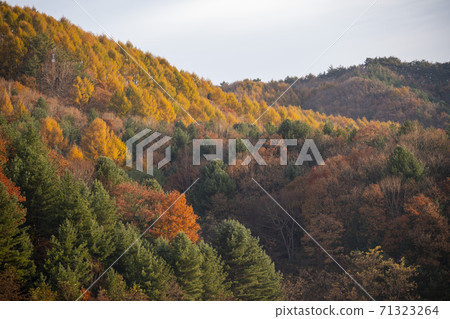 Secret Garden, Inje County, Gangwon Province 71323264