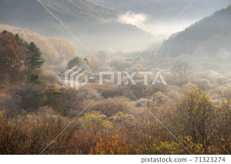 Secret Garden, Inje County, Gangwon Province 71323274