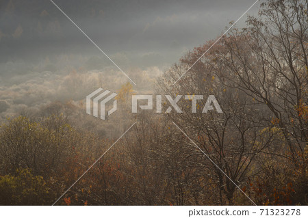 Secret Garden, Inje County, Gangwon Province 71323278