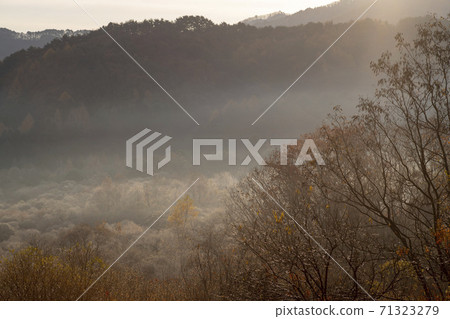 Secret Garden, Inje County, Gangwon Province 71323279