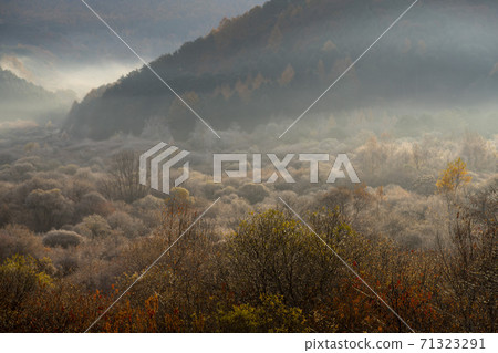 Secret Garden, Inje County, Gangwon Province 71323291