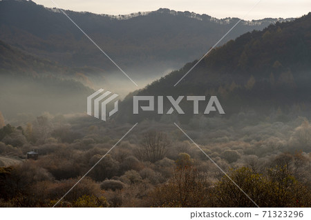 Secret Garden, Inje County, Gangwon Province 71323296