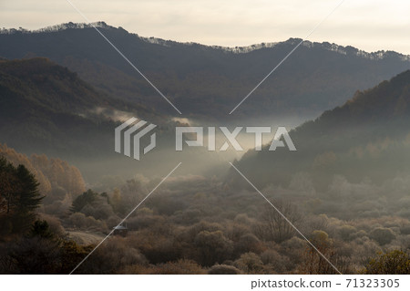 Secret Garden, Inje County, Gangwon Province 71323305