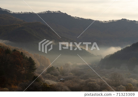 Secret Garden, Inje County, Gangwon Province 71323309
