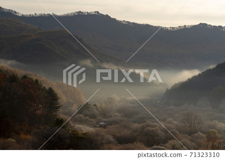 Secret Garden, Inje County, Gangwon Province 71323310