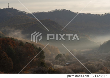 Secret Garden, Inje County, Gangwon Province 71323316