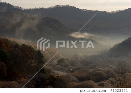 Secret Garden, Inje County, Gangwon Province 71323321