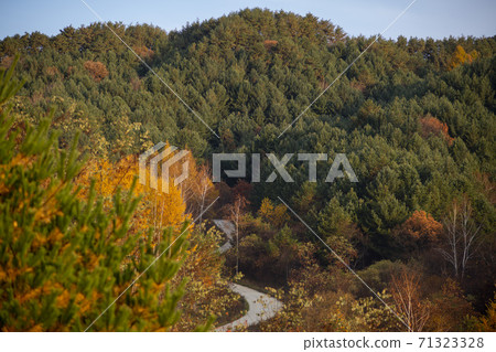 Secret Garden, Inje County, Gangwon Province Secret Garden, Inje County, Gangwon Province 71323328