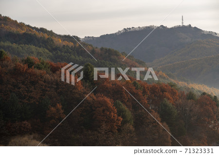 Secret Garden, Inje County, Gangwon Province 71323331