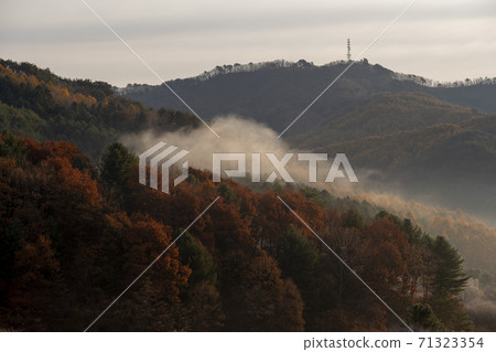 江原道仁濟縣秘密花園 71323354