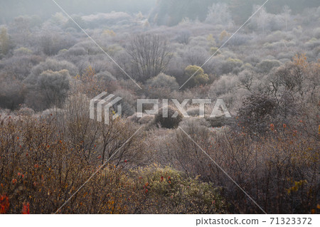 Secret Garden, Inje County, Gangwon Province 71323372