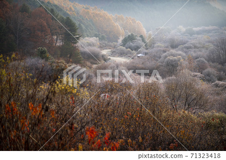 Secret Garden, Inje County, Gangwon Province 71323418