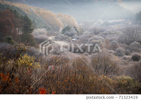 Secret Garden, Inje County, Gangwon Province 71323419