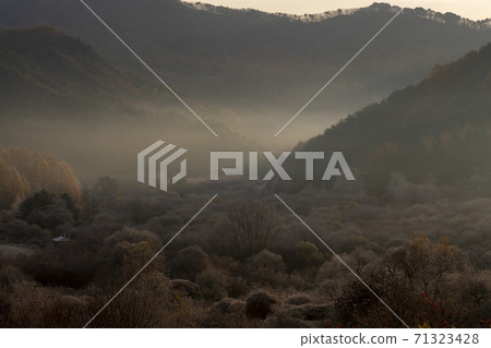Secret Garden, Inje County, Gangwon Province 71323428