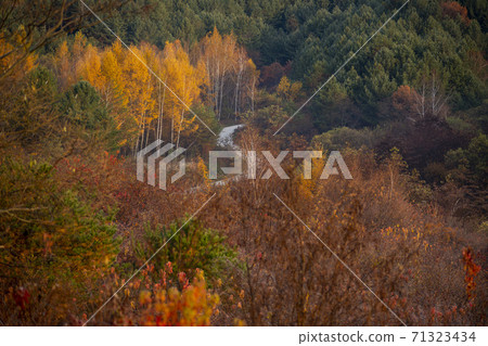 Secret Garden, Inje County, Gangwon Province 71323434