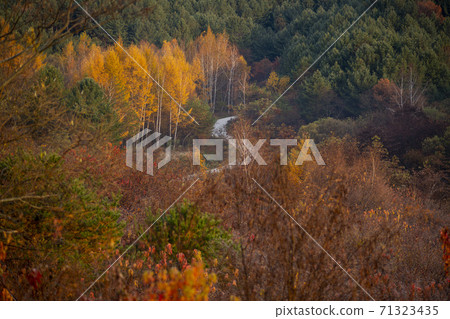 Secret Garden, Inje County, Gangwon Province 71323435