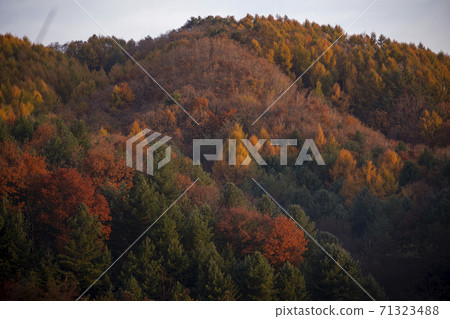 Secret Garden, Inje County, Gangwon Province 71323488