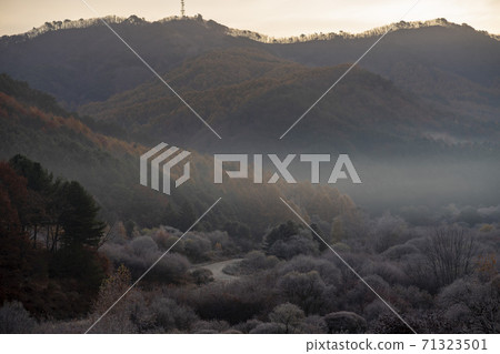 Secret Garden, Inje County, Gangwon Province 71323501