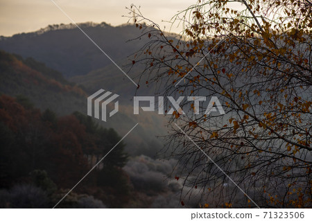 Secret Garden, Inje County, Gangwon Province 71323506
