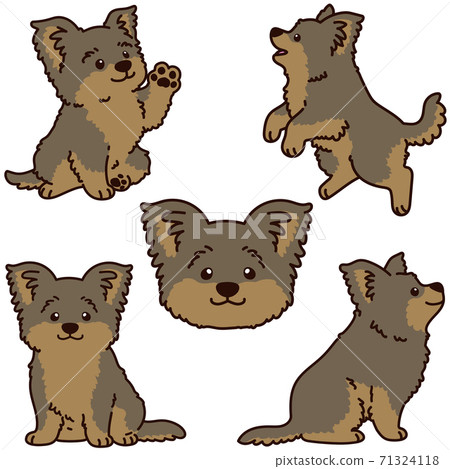 Simple and cute Yorkshire terrier illustration set with main line Simple and cute Yorkshire terrier illustration set with main line 71324118