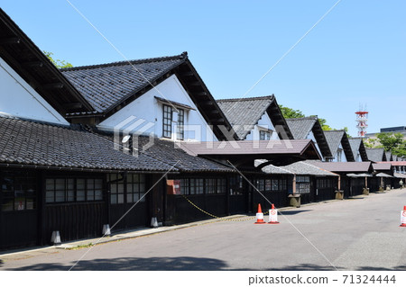 Yamai倉庫zelkova樹排行了樹 71324444
