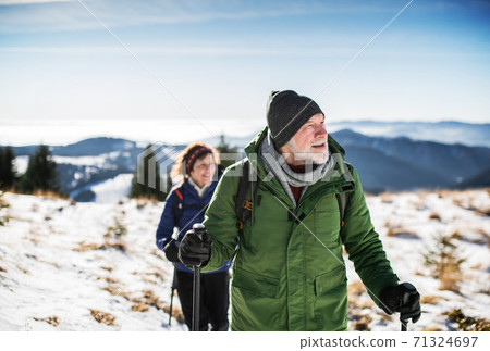 Senior couple with nordic walking poles hiking in snow-covered winter nature. 71324697