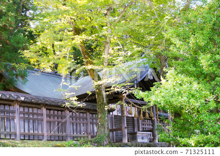 Nagano Prefecture Suwa Taisha Kamisha Maemiya Haiden Nagano Prefecture Suwa Taisha Kamisha Maemiya Haiden 71325111