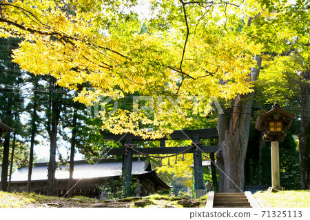 Nagano Prefecture Suwa Taisha Kamisha Maemiya Torii 71325113