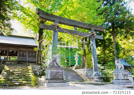 Nagano Prefecture Suwa Taisha Kamisha Maemiya Torii 71325115