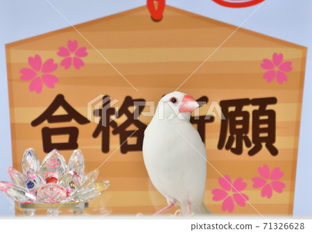 通過祈禱和文喬 通過祈禱和文喬 71326628