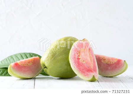 芭樂 番石榴 紅心芭樂 白色 背景 葉子 Red guava fruit leaf グアバ 果物 芭樂 番石榴 紅心芭樂 白色 背景 葉子 Red guava fruit leaf グアバ 果物 71327231