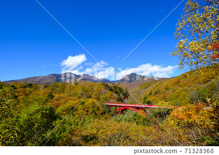 Autumn leaves of Yamanashi, Kiyosato, Higashizawa Ohashi and Yatsugatake 71328368