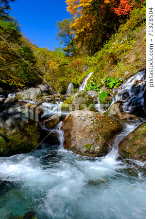Yamanashi / Kiyosato / Autumn Leaves Doryu Falls 71328504