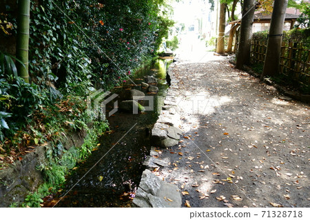 Kokubunji Otaka no Michi, the true pond springs, the clear stream flowing from the true pond Kokubunji Otaka no Michi, the true pond springs, the clear stream flowing from the true pond 71328718