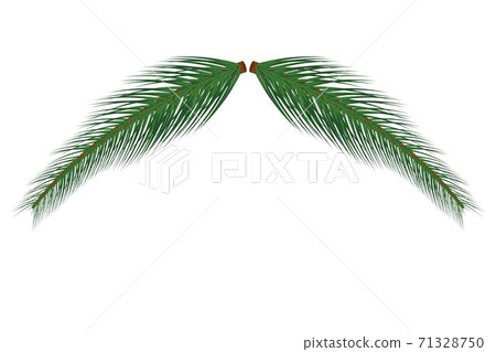 Branch of Christmas tree vector illustration... - Stock Illustration ...