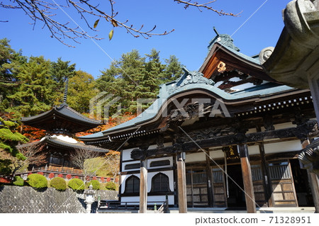 秋天的福泉寺有奇妙的紅葉，正殿 71328951