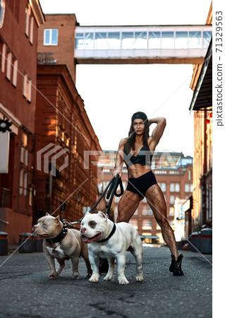 woman with an athletic figure with two dogs american bully on the city streets 71329563