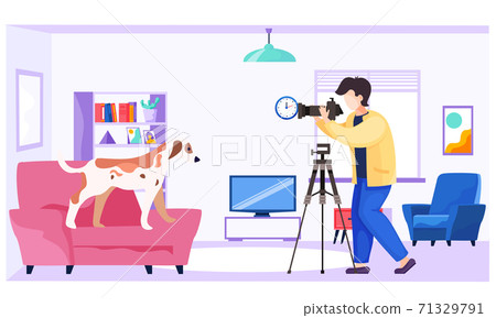Professional photographer makes pictures of a dog. Photo session of animal. Shooting in an apartment Professional photographer makes pictures of a dog. Photo session of animal. Shooting in an apartment 71329791