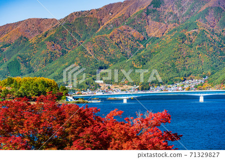 (Yamanashi Prefecture) Lake Kawaguchi seen from Tenjozan Park (Yamanashi Prefecture) Lake Kawaguchi seen from Tenjozan Park 71329827