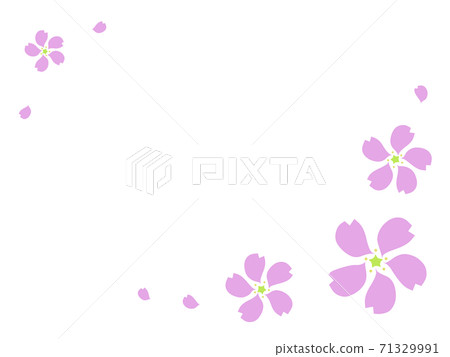 櫻花盛開的春天風景 71329991