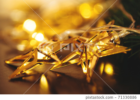 Christmas tree branch and garland. Christmas tree branch and garland. 71330886