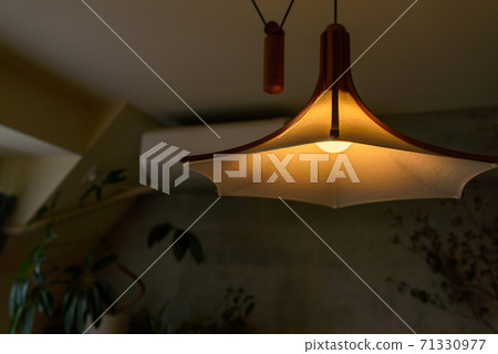 光  71330977
