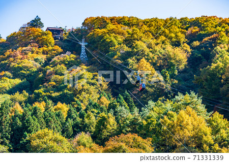 (Yamanashi Prefecture) Lake Kawaguchi Mt. Fuji Panorama Ropeway Mt. Tenjo 71331339