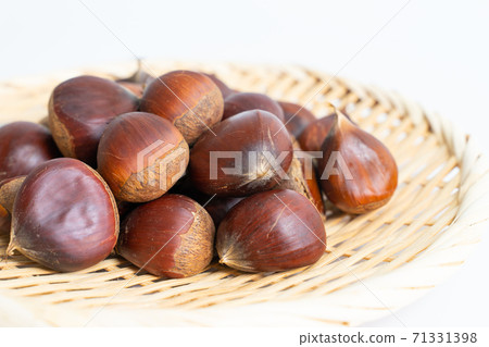 Chestnut  71331398