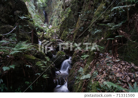 Kuroyama Santaki on the way to Tengu Falls 71331500