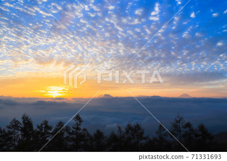 浦羅日出雲，阿瑪瑞山 71331693